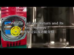 Patlamaya Dayanıklı Elektrikli Aktüatör IP68 CSA Elektrik Kesintisi Sıfırlama Modbus